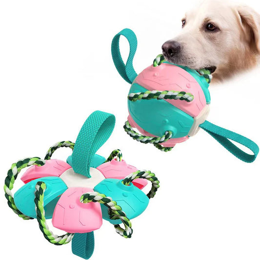 JMT-659850 Durable Wear-resistant and Bite-resistant Interactive Dog Chew Toys