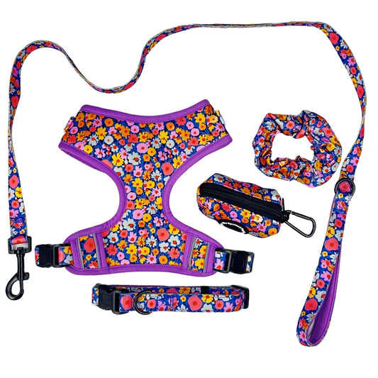 JMT-241610 Neoprene Customisable Cat and Dog Harness Set