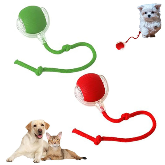JMT-826826 Interactive Motion Activated Cat Ball Toy - USB Rechargeable Self-Rolling Toy for Cats