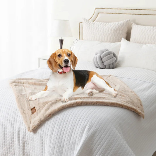 JMT-792074 Luxury Reusable Waterproof Cat and Dog Pee Mat Cover with Double-Sided Fur Sherpa and Coral Velvet Fleece