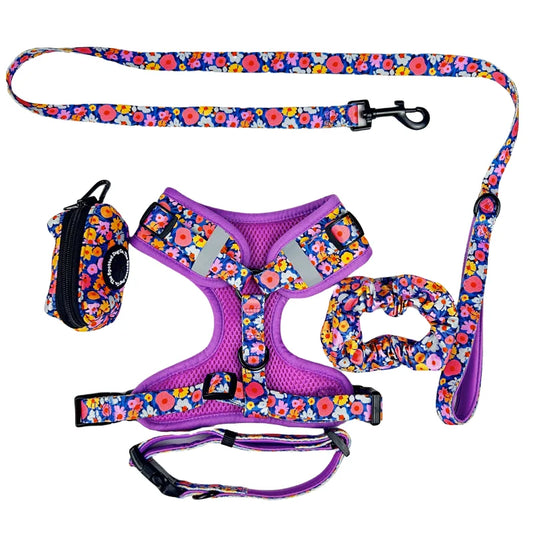 JMT-241610 Neoprene Customisable Cat and Dog Harness Set