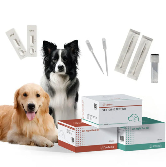 JMT-021450 Veterinary Diagnostic Kit for Rapid Testing of Ehrlichia, Anaplasma, and Babesia Canis in Dogs