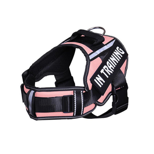 JMT-003722 Reflective Nylon Dog Leash with Chest Harness Compatibility - Breathable and Stylish in Multiple Colors