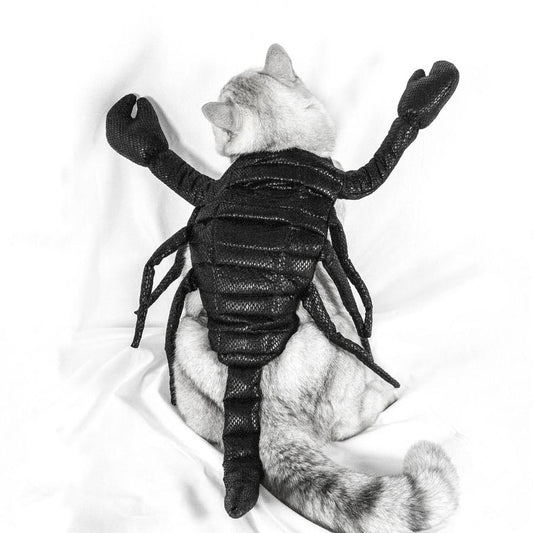 JMT-042826 Scorpion Halloween Costume for Cats - Black Fabric Pet Clothing, Size S & M