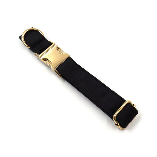 JMT-233098 Stylish Black Velvet Anti-Lost Dog Collar with Gold Buckle