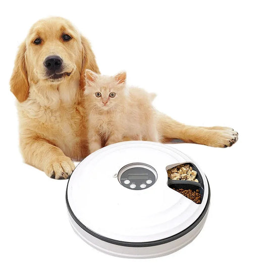 JMT-353162 Automatic Pet Food Dispenser with Smart Timed Control, White, Size 30 cm x 7 cm