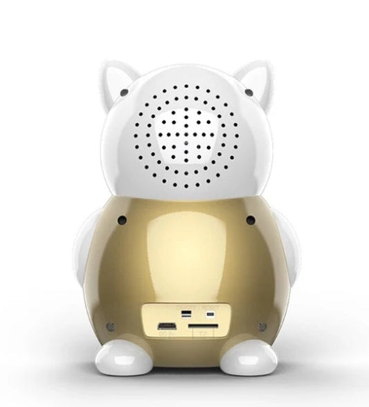 JMT-450314 Battery-Powered Wireless Remote Monitoring Camera with HD Image Sensor and Night Vision