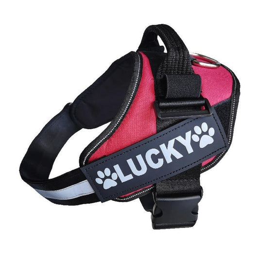 JMT-691850 Pet Dog Chest Strap Sign with DO NOT PET Sticker in Black and White