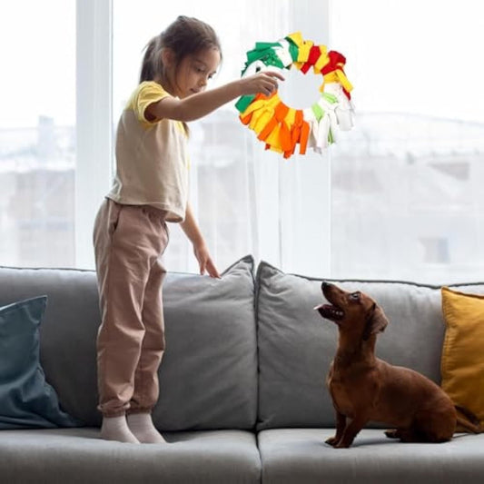 JMT-924170 Rainbow Polar Fleece Flying Disc Toy for Interactive Dog Play and Snuffle Enrichment