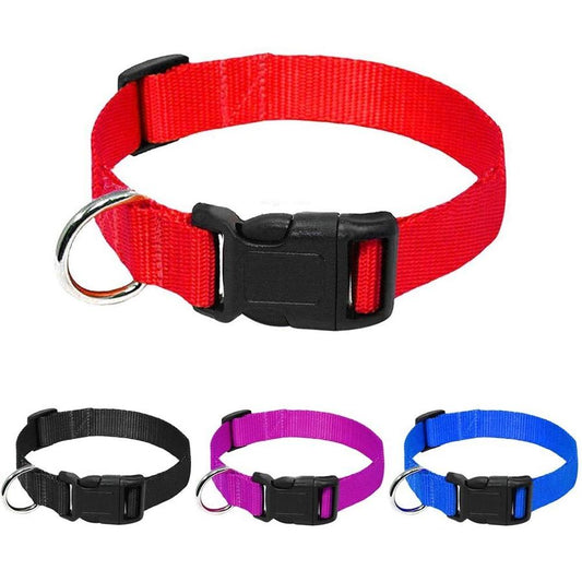 JMT-002890 Durable Nylon Dog Collar Leash in Multiple Colors and Sizes