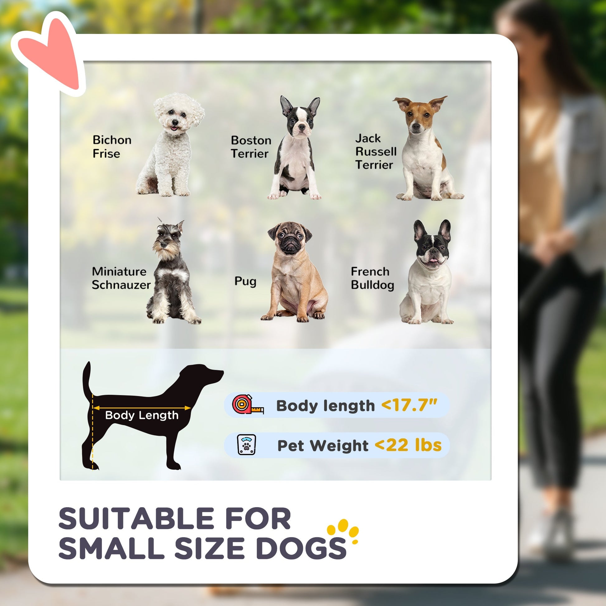 JMT-003402 3-in-1 Lightweight Dog Stroller with Detachable Cabin for Small Dogs, Gray, Adjustable Canopy and Storage Features