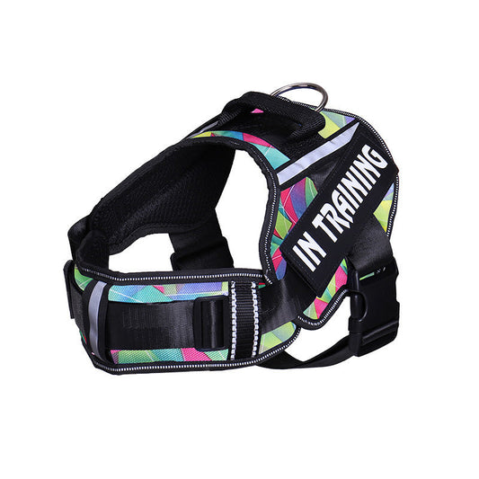 JMT-003722 Reflective Nylon Dog Leash with Chest Harness Compatibility - Breathable and Stylish in Multiple Colors