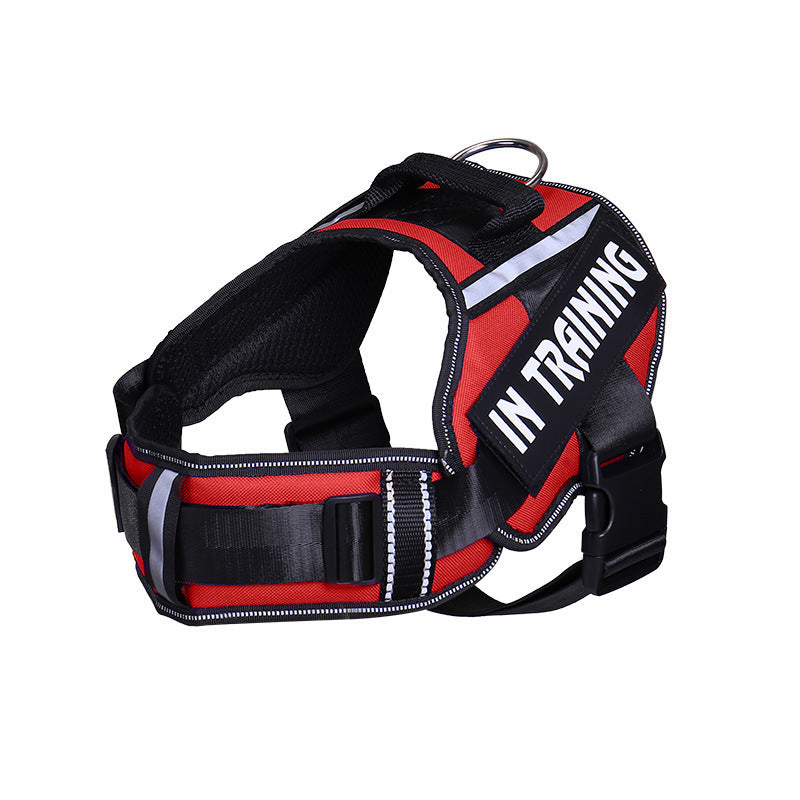 JMT-003722 Reflective Nylon Dog Leash with Chest Harness Compatibility - Breathable and Stylish in Multiple Colors
