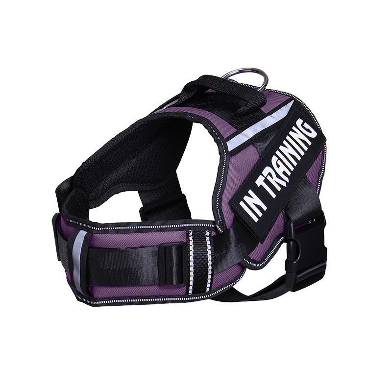 JMT-003722 Reflective Nylon Dog Leash with Chest Harness Compatibility - Breathable and Stylish in Multiple Colors