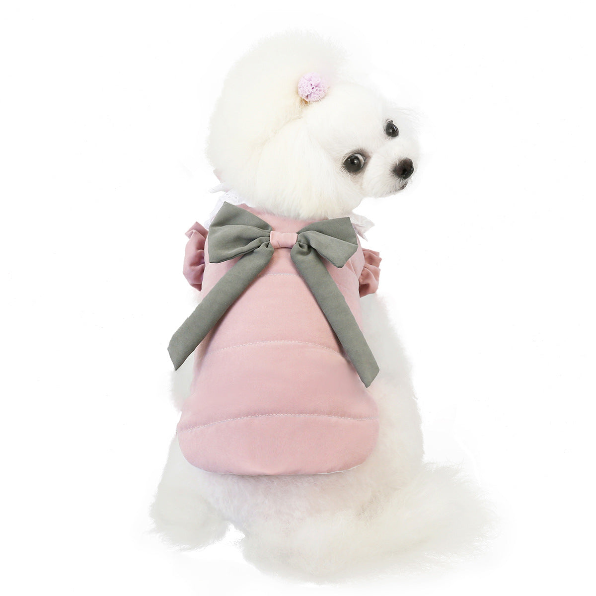 JMT-004170 Lace Collar Vest for Pets - Casual Cotton Two-Legged Clothing in Purple and Pink, Multiple Sizes Available