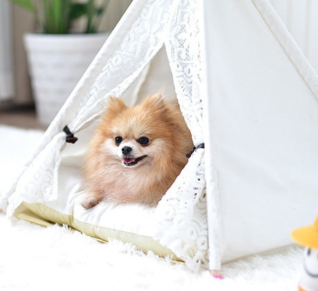JMT-005706 Small Spotted Tent Cat Kennel - Pet Nest in Various Sizes with Soft Lining Options