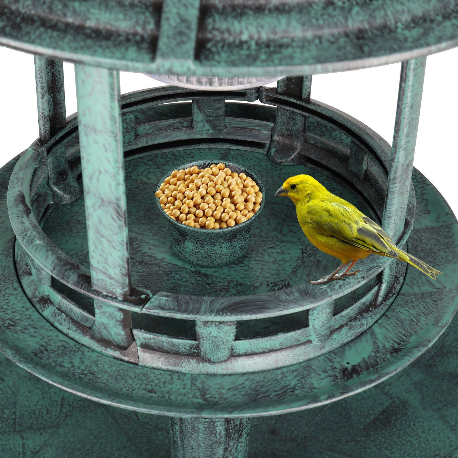 JMT-008010 Dark Green Plastic Round Bird Bath with Solar Light and Durable Design