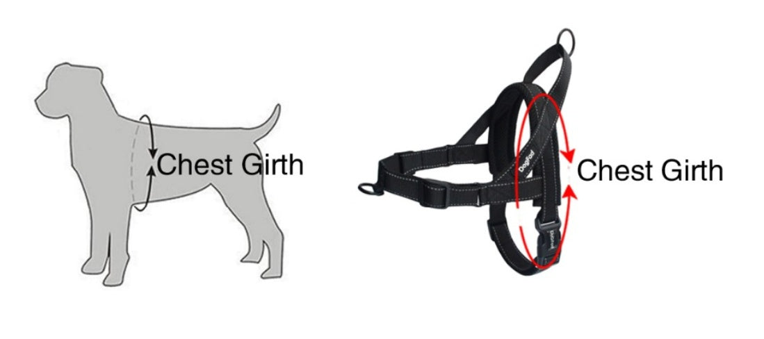JMT-008330 Nylon Dog Chest Strap for Adjustable Fit - Multiple Sizes Available