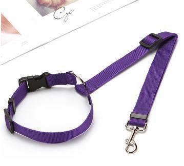 JMT-018698 Adjustable Multicolor Pet Seat Belt for Dogs & Cats - Safety Towing Rope with Quality Buckle