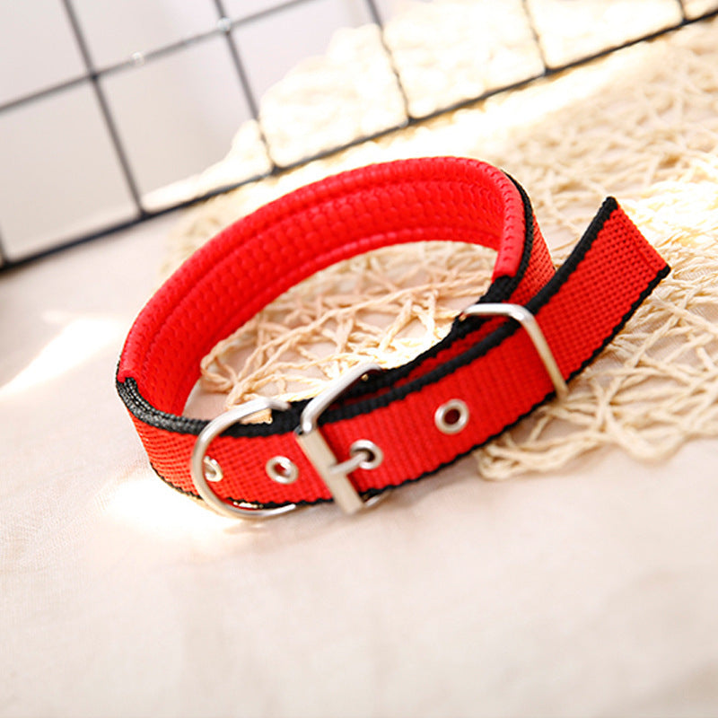 JMT-021322 Durable Nylon Dog Collar for Small to Medium-Sized Dogs in Multiple Sizes: Blue, Black, Red, Green