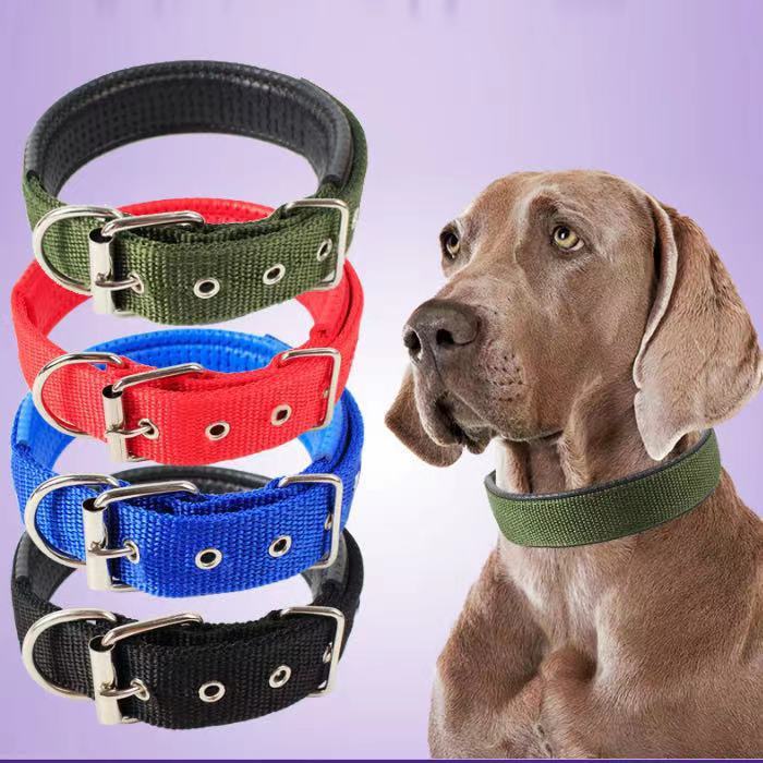 JMT-021322 Durable Nylon Dog Collar for Small to Medium-Sized Dogs in Multiple Sizes: Blue, Black, Red, Green