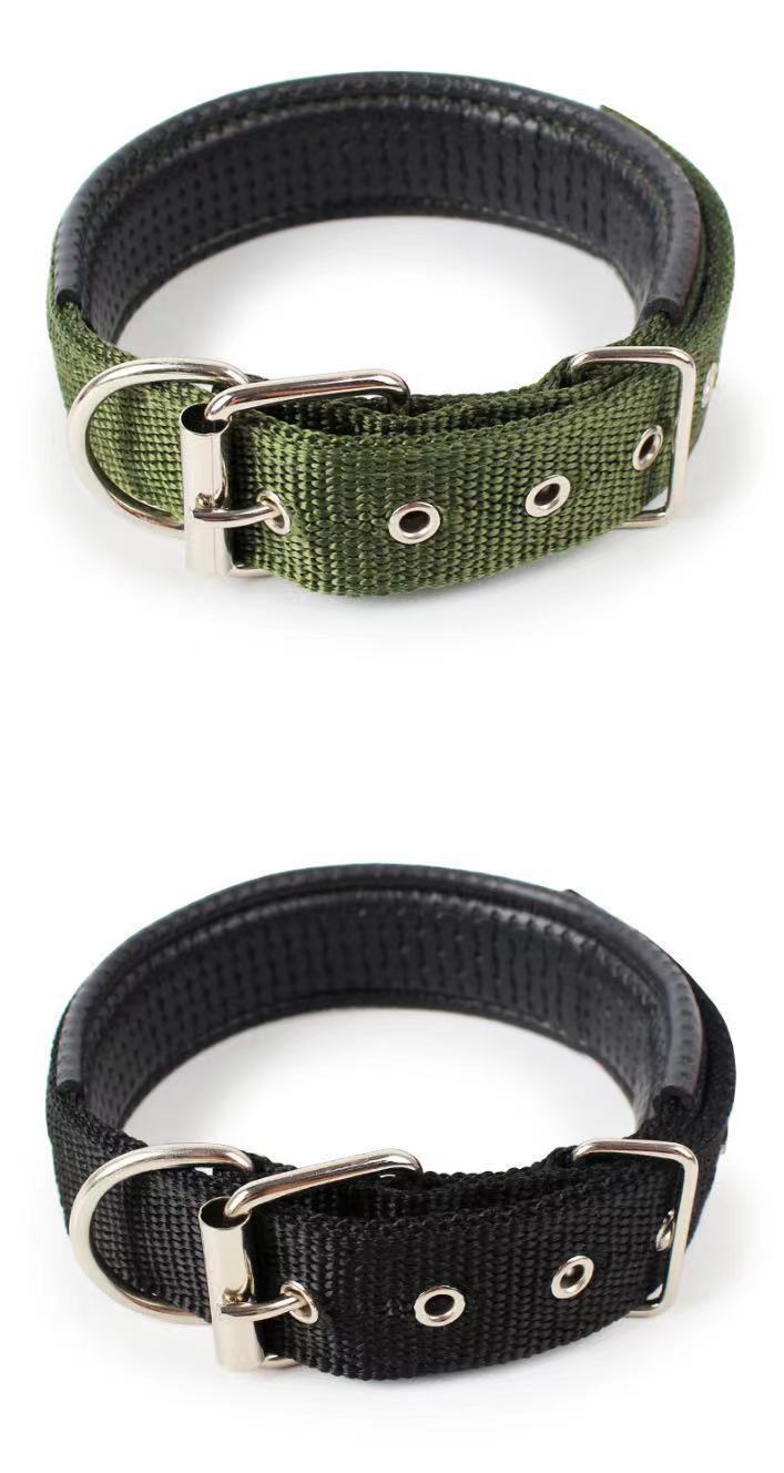 JMT-021322 Durable Nylon Dog Collar for Small to Medium-Sized Dogs in Multiple Sizes: Blue, Black, Red, Green