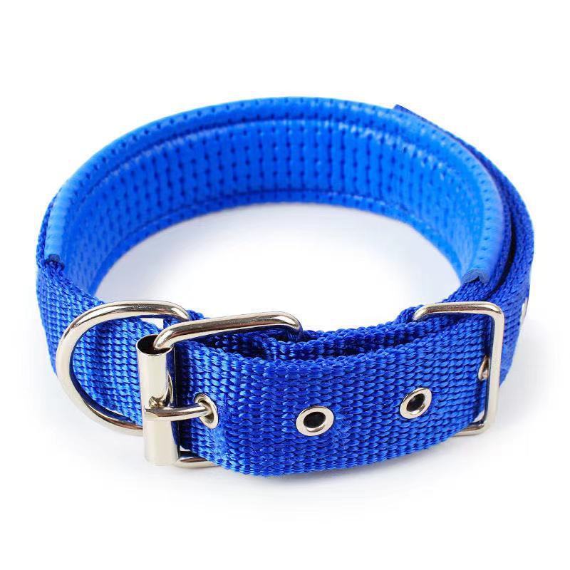 JMT-021322 Durable Nylon Dog Collar for Small to Medium-Sized Dogs in Multiple Sizes: Blue, Black, Red, Green