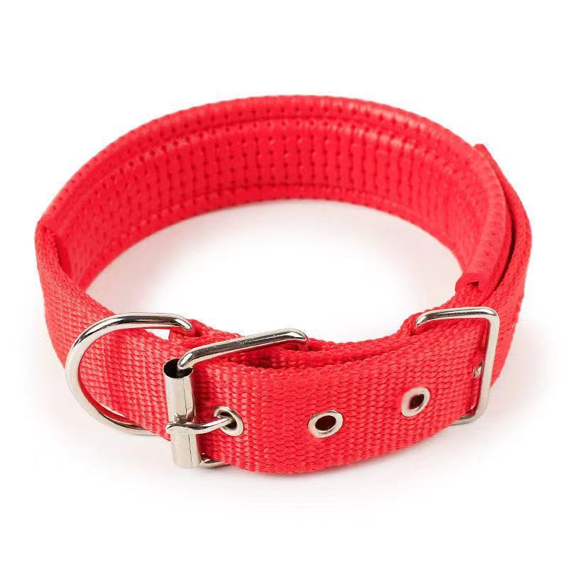 JMT-021322 Durable Nylon Dog Collar for Small to Medium-Sized Dogs in Multiple Sizes: Blue, Black, Red, Green