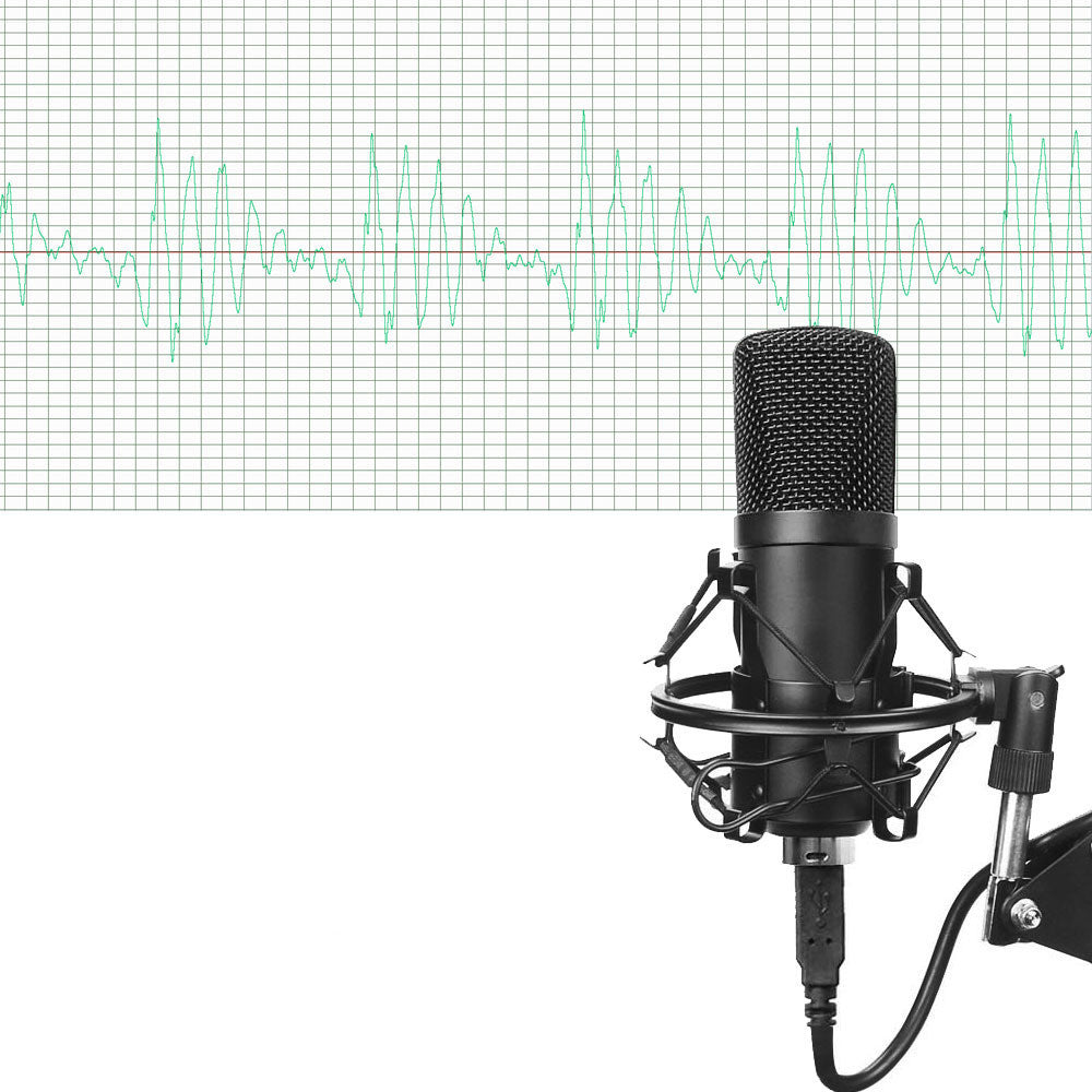 JMT-022986 Condenser Microphone Set BM-700 with Metal Construction for Recording and Live Performances