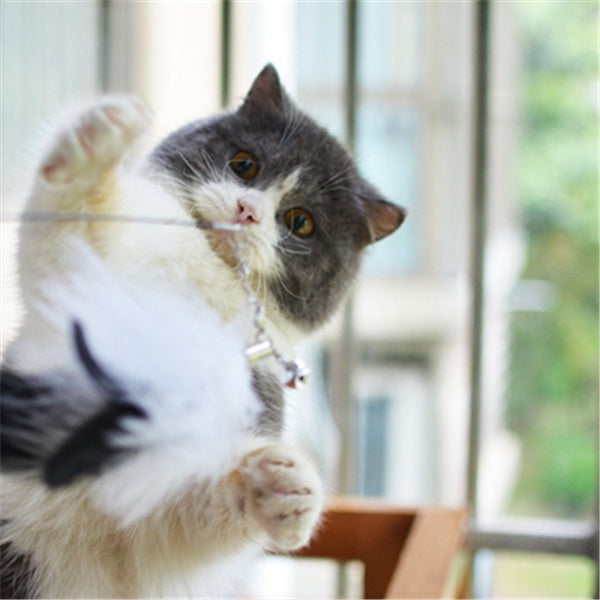 JMT-025098 Funny Cat Stick with Flexible Wooden Handle and Replaceable Feather Heads