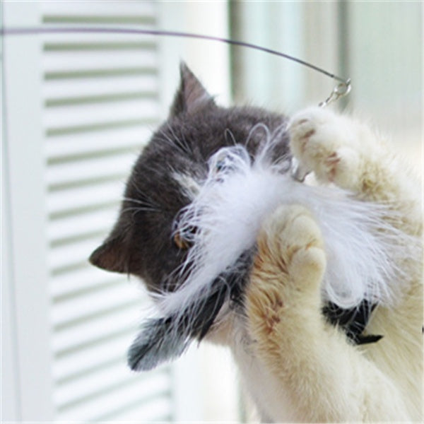 JMT-025098 Funny Cat Stick with Flexible Wooden Handle and Replaceable Feather Heads