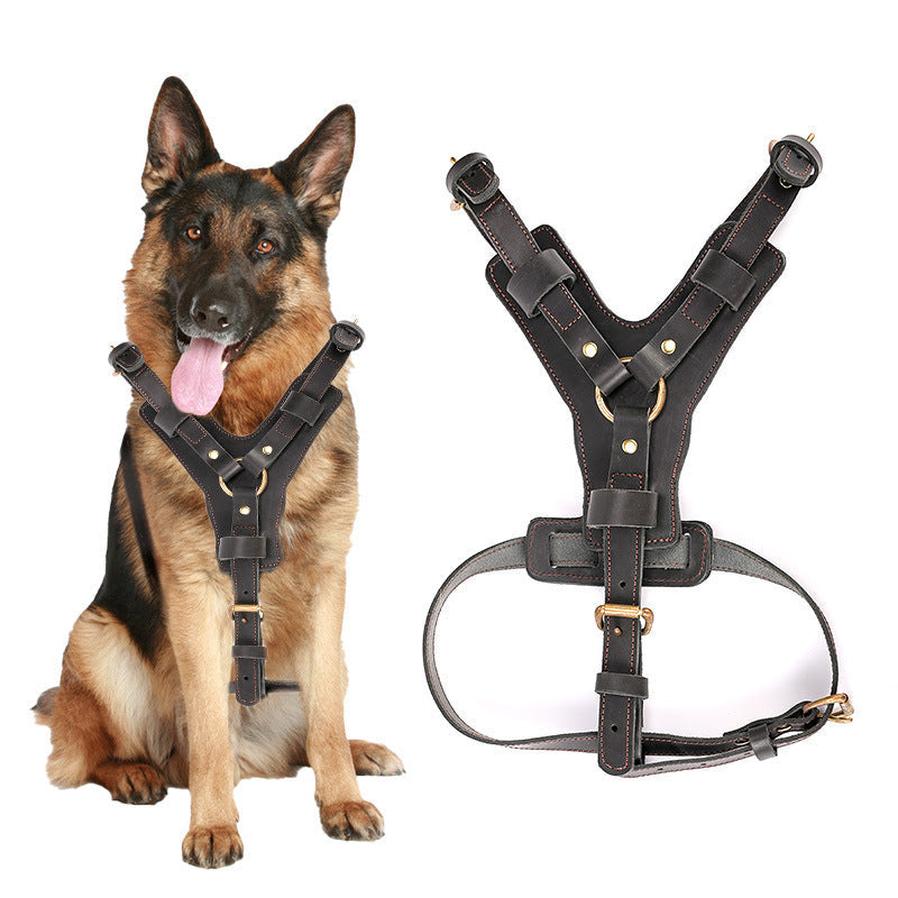 JMT-027594 Leather Dog Chest Harness with Automatic Traction Rope for Comfortable Walking