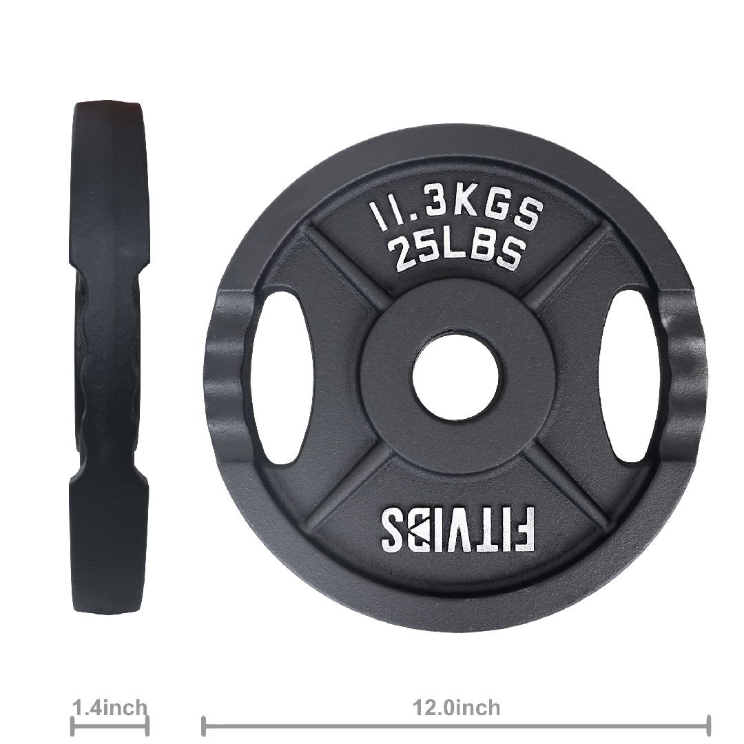 JMT-028490 Olympic 2-Inch Cast Iron Weight Plates for Strength Training - 25LB Pair