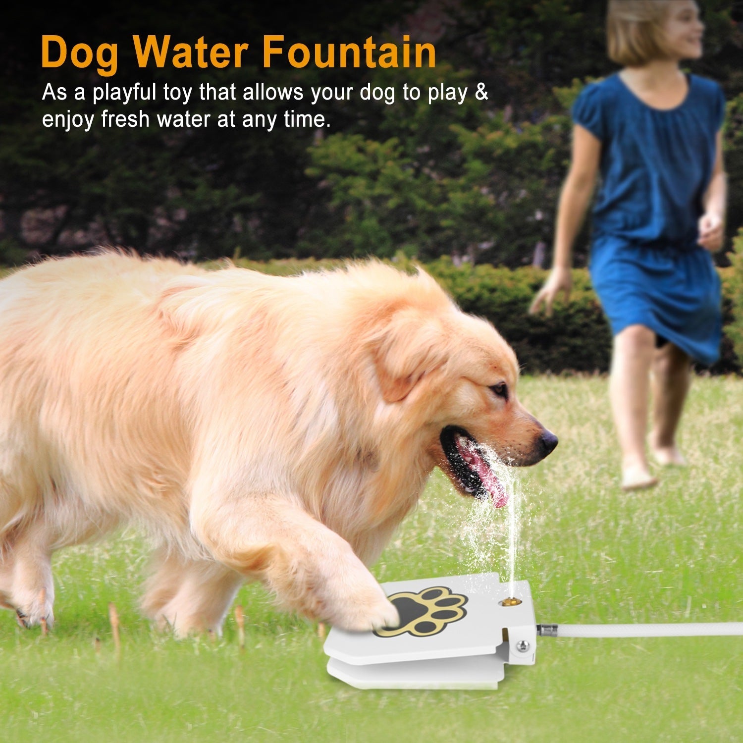 JMT-029578 Outdoor Dog Water Fountain with Step-On Paw Pedal for Interactive Hydration