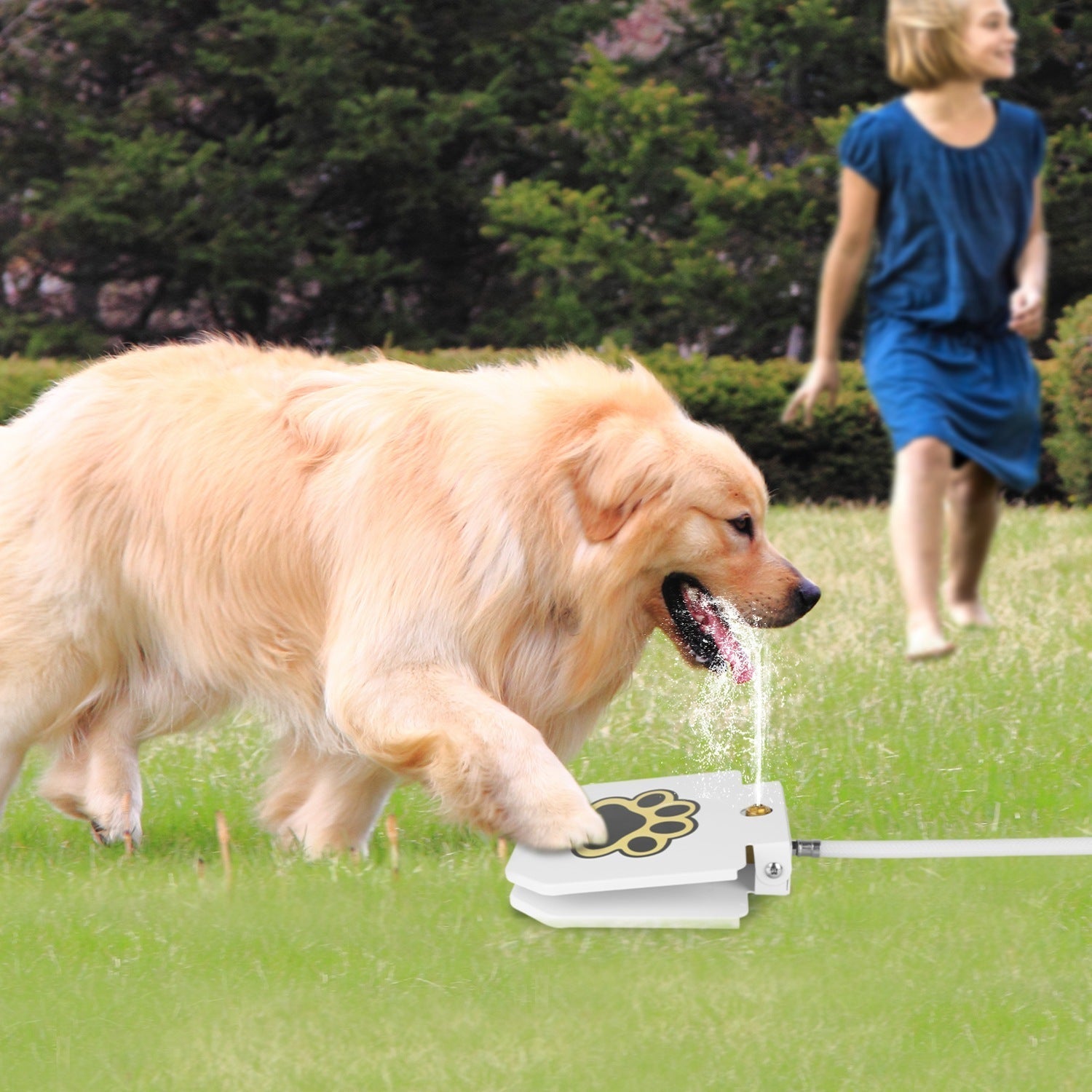 JMT-029578 Outdoor Dog Water Fountain with Step-On Paw Pedal for Interactive Hydration