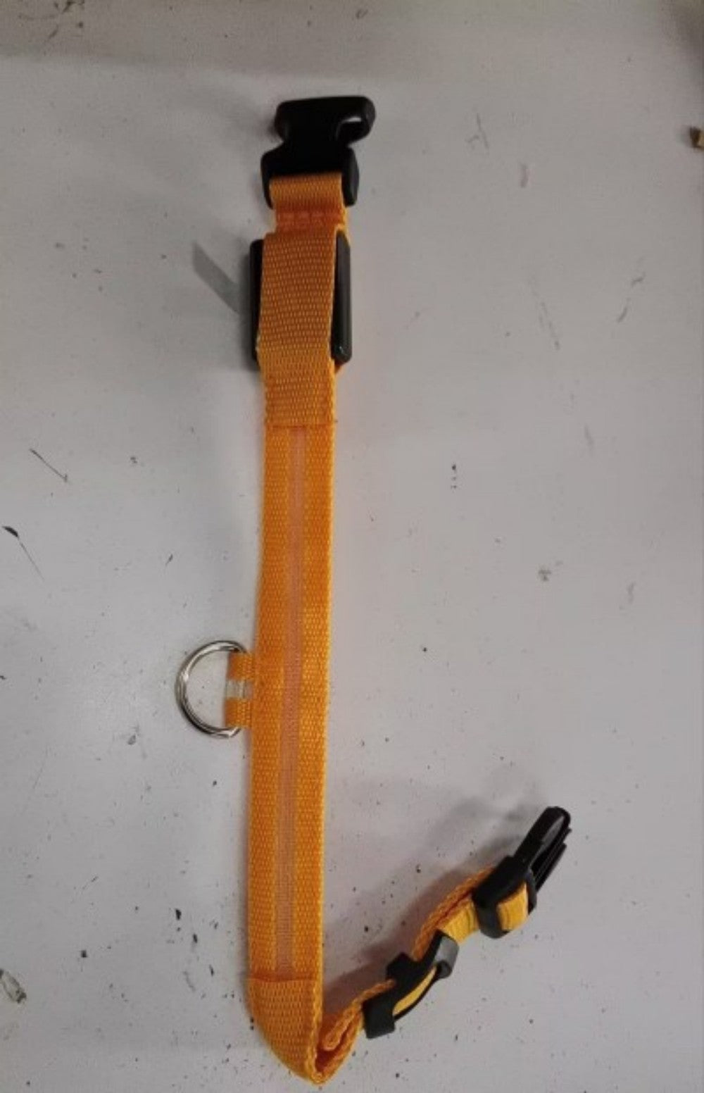 JMT-033674 LED Pet Safety Collar in Multiple Sizes - Adjustable Fit for Dogs and Cats