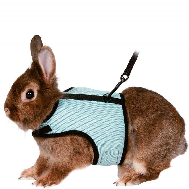 JMT-034506 Adjustable Nylon Bunny Leash with Soft Padding and Elastic Traction Belt
