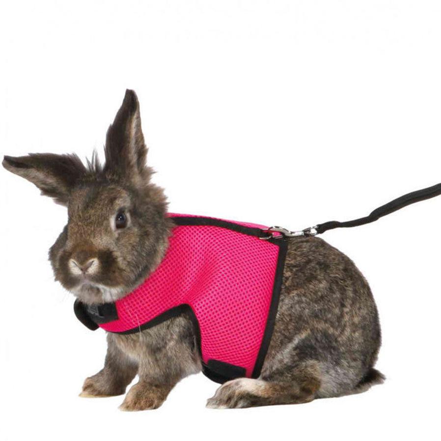 JMT-034506 Adjustable Nylon Bunny Leash with Soft Padding and Elastic Traction Belt