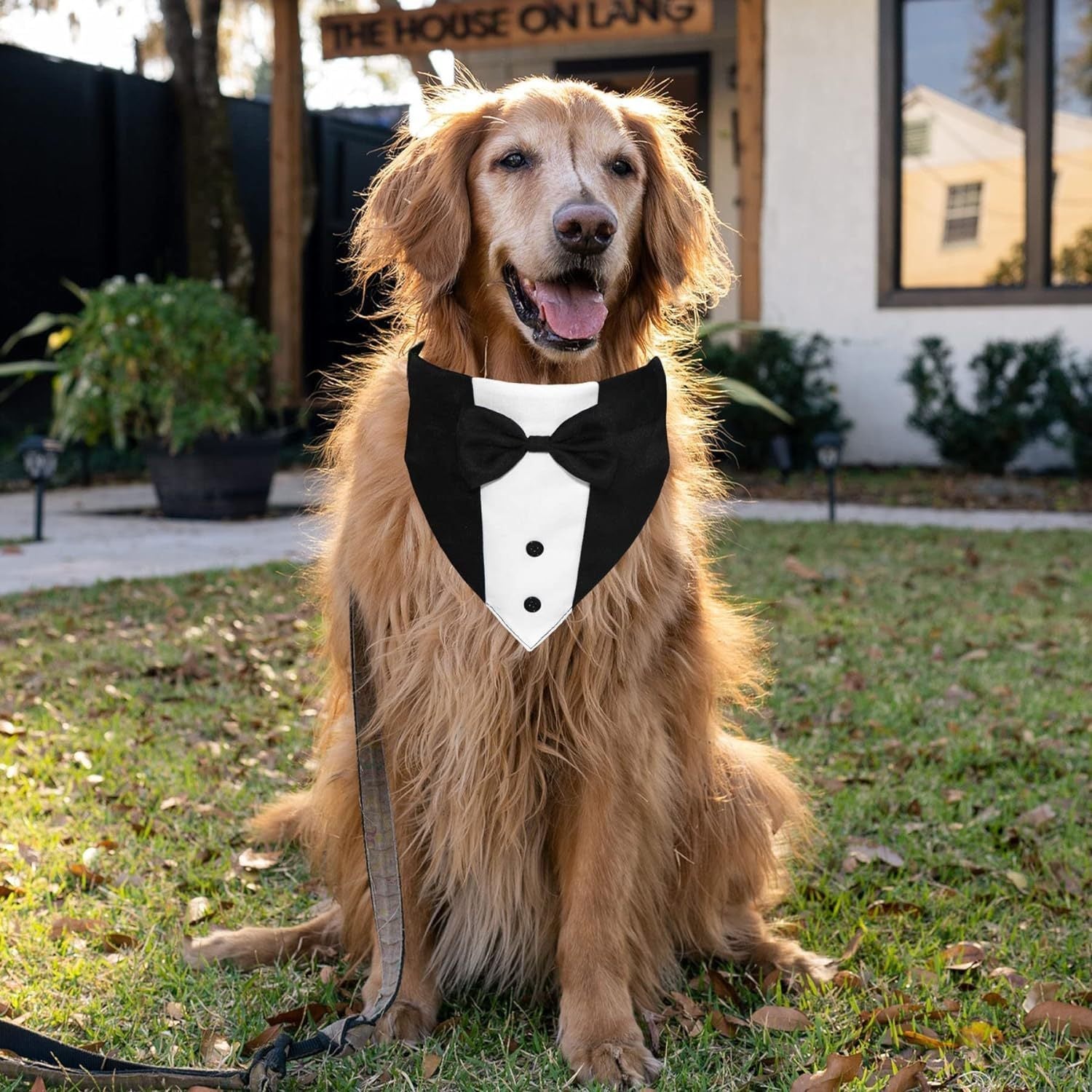JMT-037130 Formal Dog Tuxedo Suit with Adjustable Bow Tie and Bandana for Weddings and Special Occasions