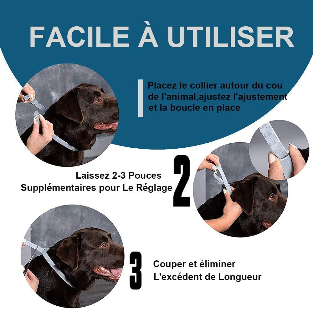 JMT-040266 Flea and Lice Repellent Collar for Cats and Dogs - Adjustable Rainbow Design