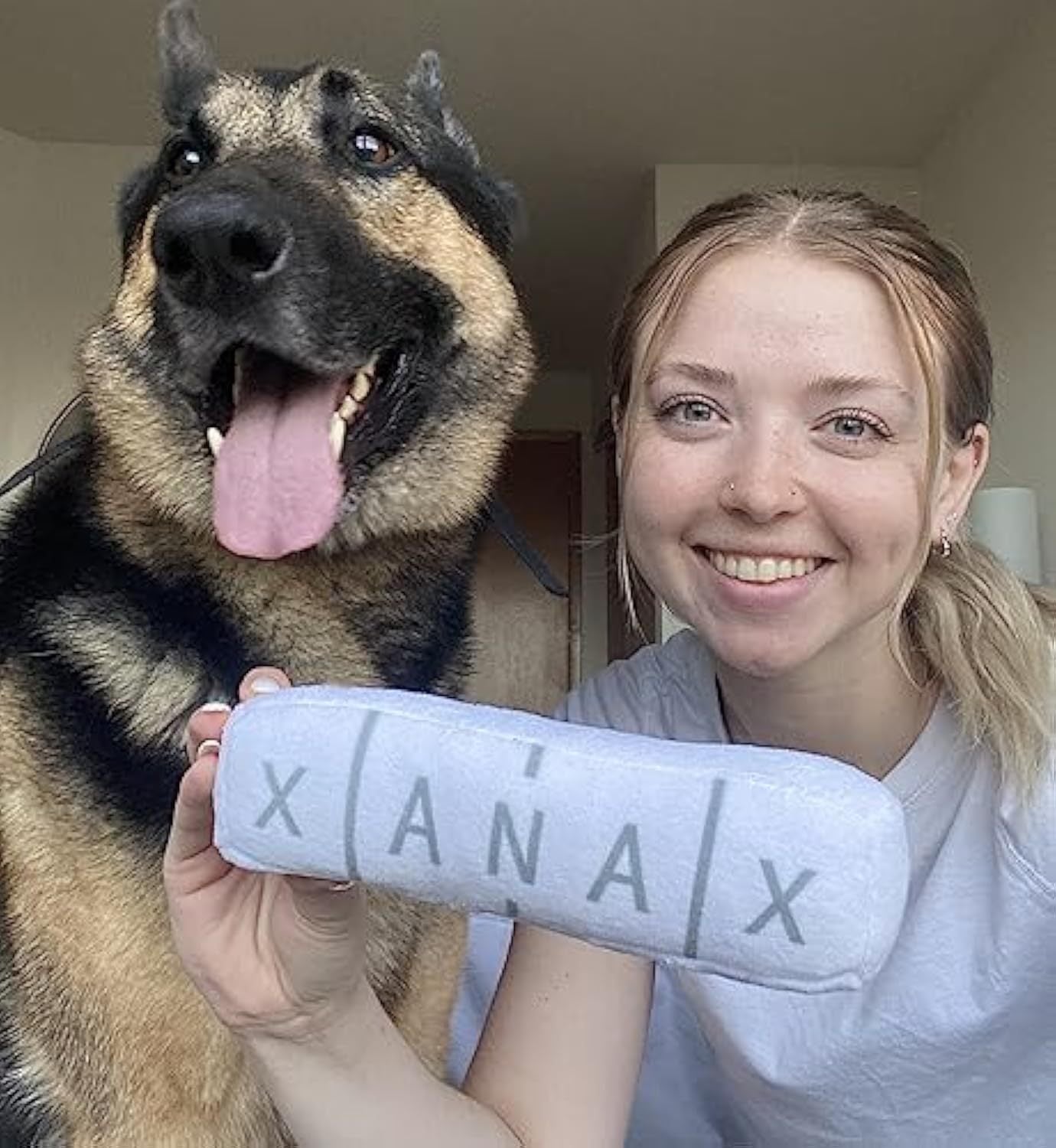 JMT-043210 Squeaky Plush Dog Toy with Crinkle Sounds - Durable 8-inch Toy for All Dog Sizes