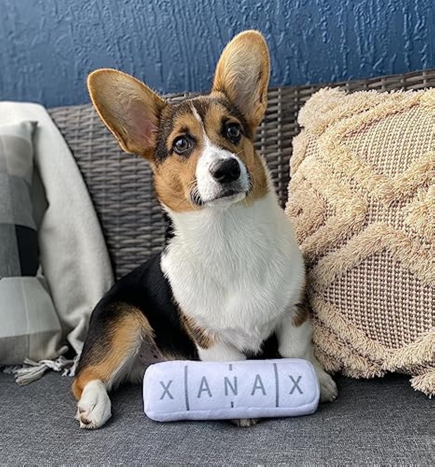 JMT-043210 Squeaky Plush Dog Toy with Crinkle Sounds - Durable 8-inch Toy for All Dog Sizes