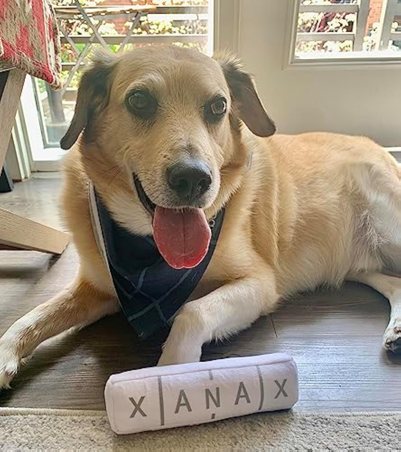 JMT-043210 Squeaky Plush Dog Toy with Crinkle Sounds - Durable 8-inch Toy for All Dog Sizes