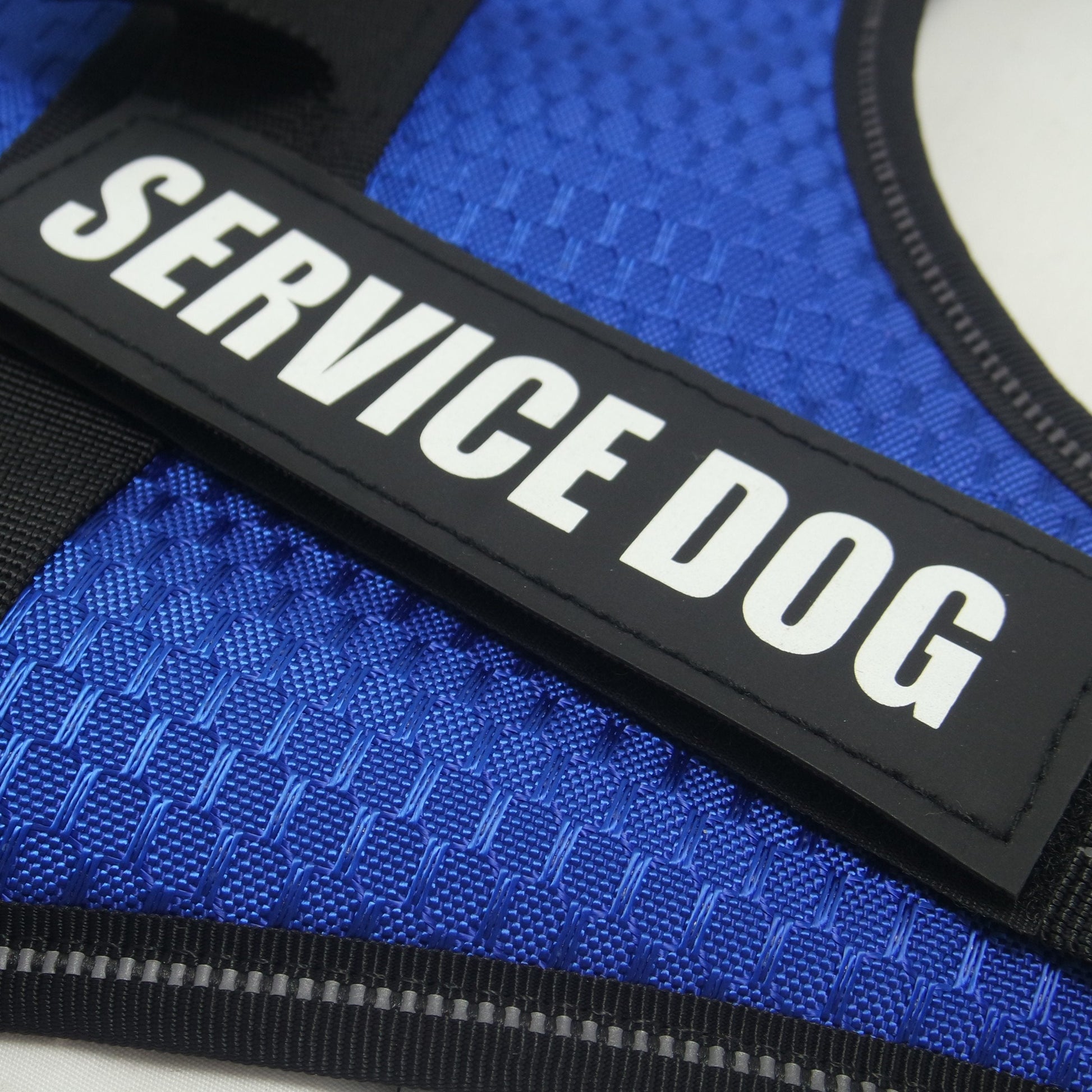 JMT-044554 Personalized Pet Harness for Comfortable and Secure Fit