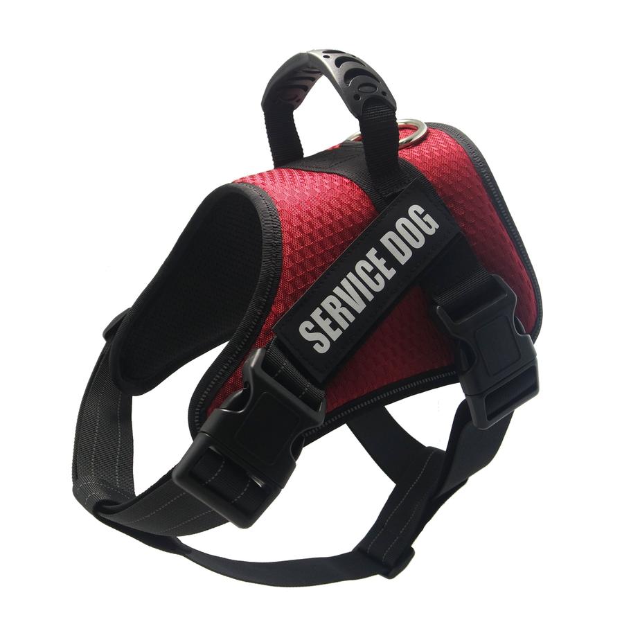 JMT-044554 Personalized Pet Harness for Comfortable and Secure Fit