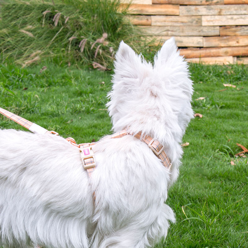 JMT-046858 Fashionable Pet Chest Back and Collar Set with Lattice Design - Available in Plaid Orange and Matcha Green