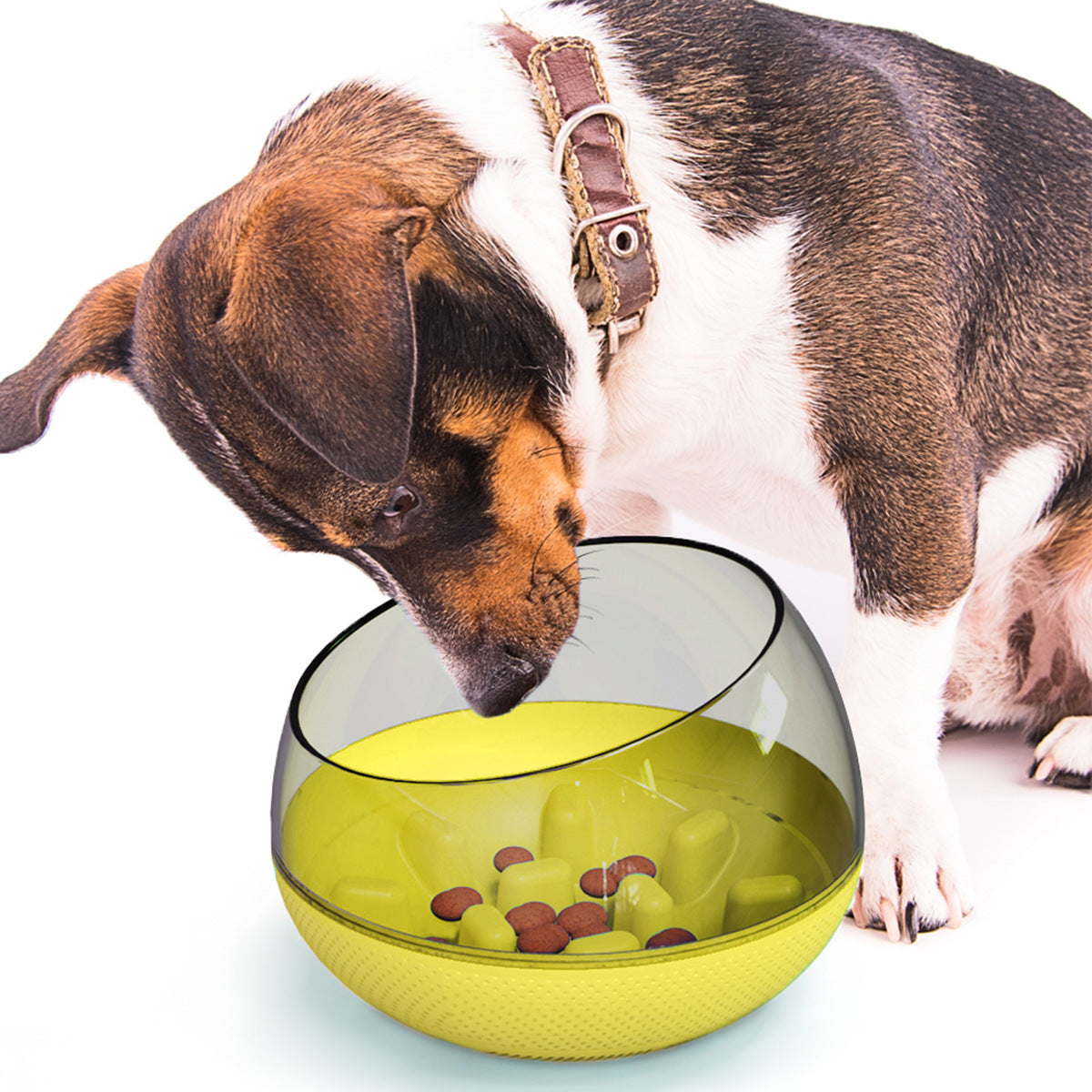 JMT-049994 Slow Feed Plastic Bowl for Pets - 19x19x14 cm