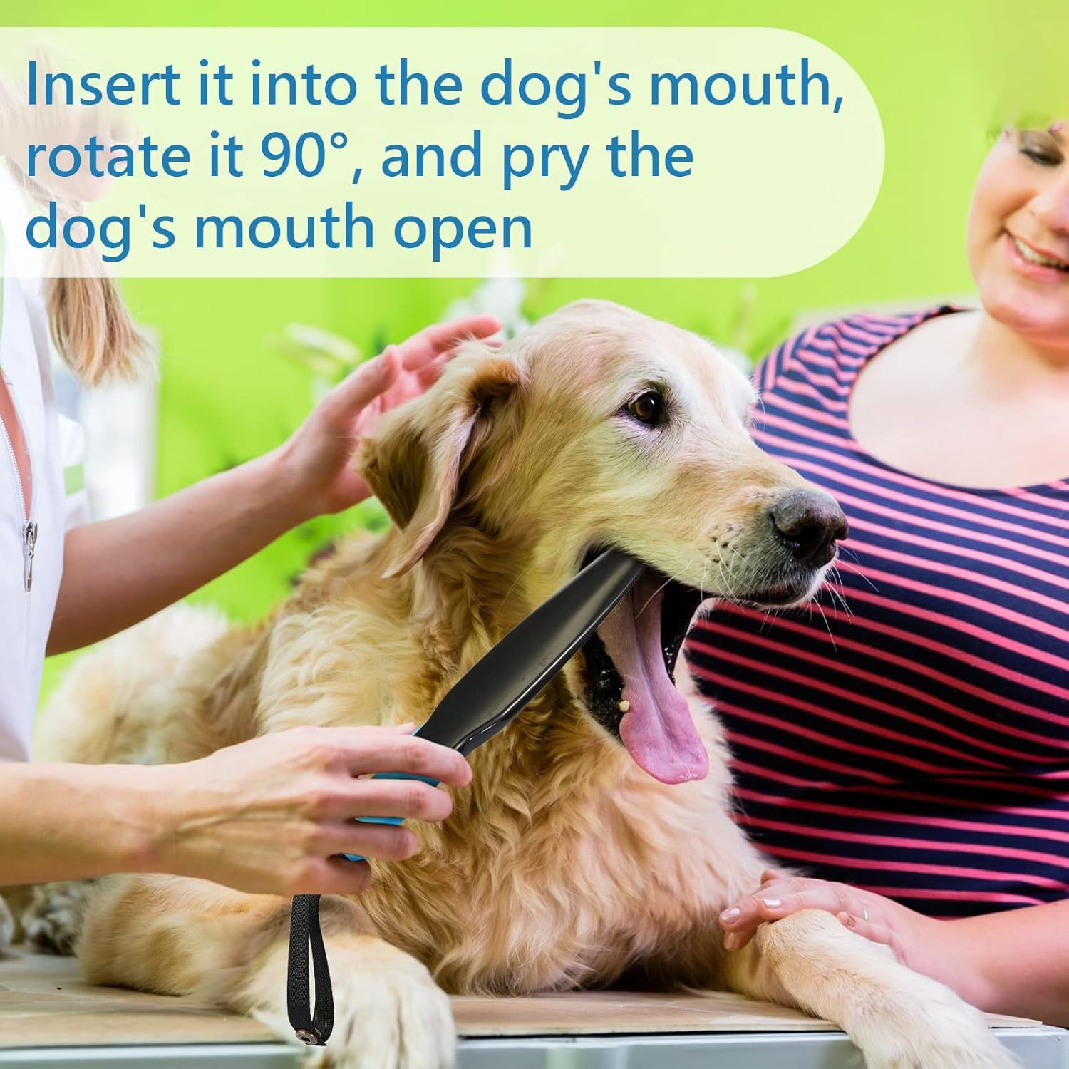 JMT-052106 Dog Break Stick for Training and Chewing - Durable Nylon No Bite Training Tool for Small and Medium Dogs