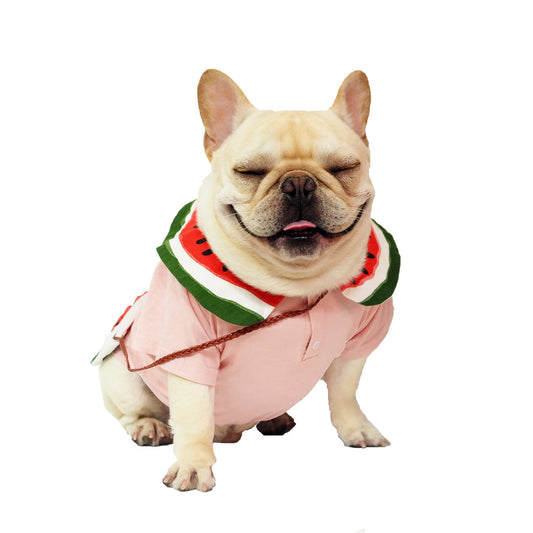 JMT-059658 Breathable Cotton Watermelon Dog Outfit with Matching Bag for All Sizes