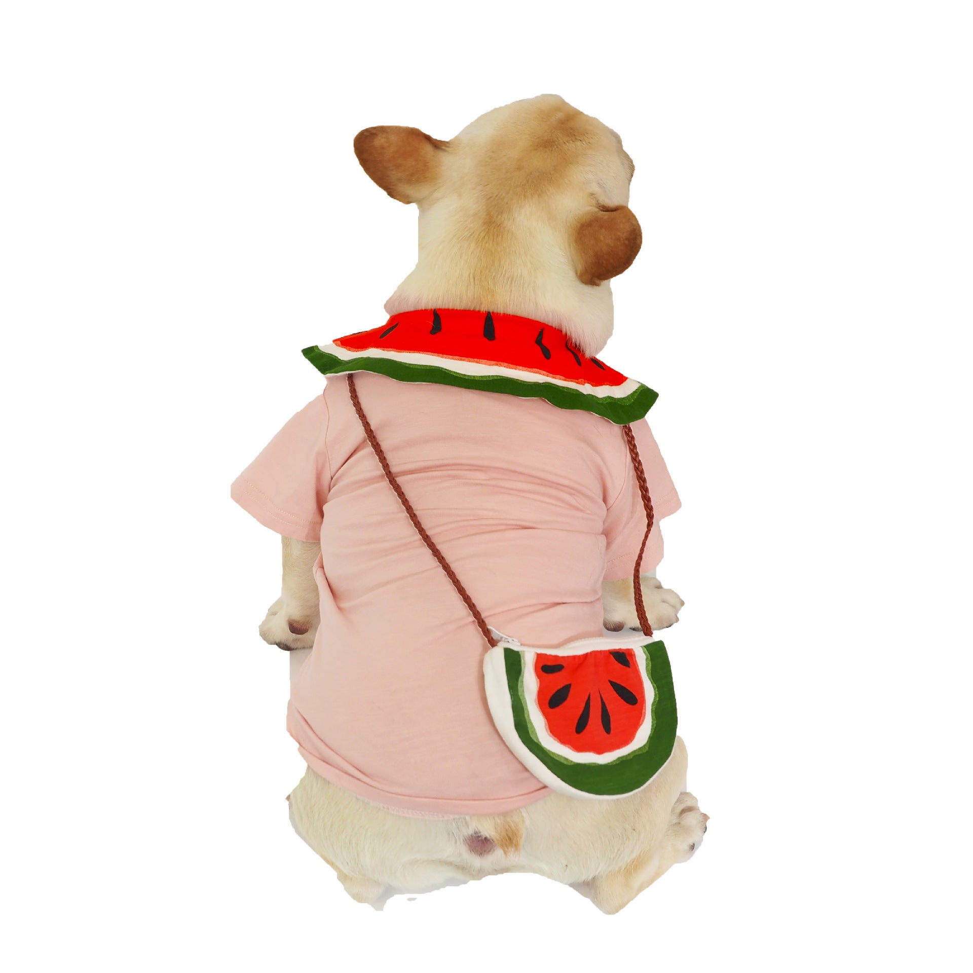 JMT-059658 Breathable Cotton Watermelon Dog Outfit with Matching Bag for All Sizes